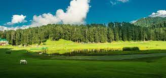 Khajjiar Sightseeing Tour